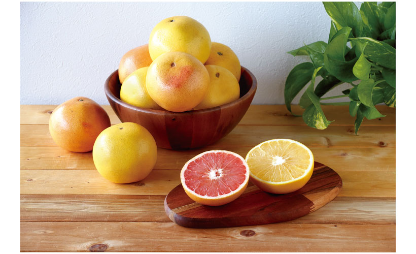 ロリダ産グレープフルーツ